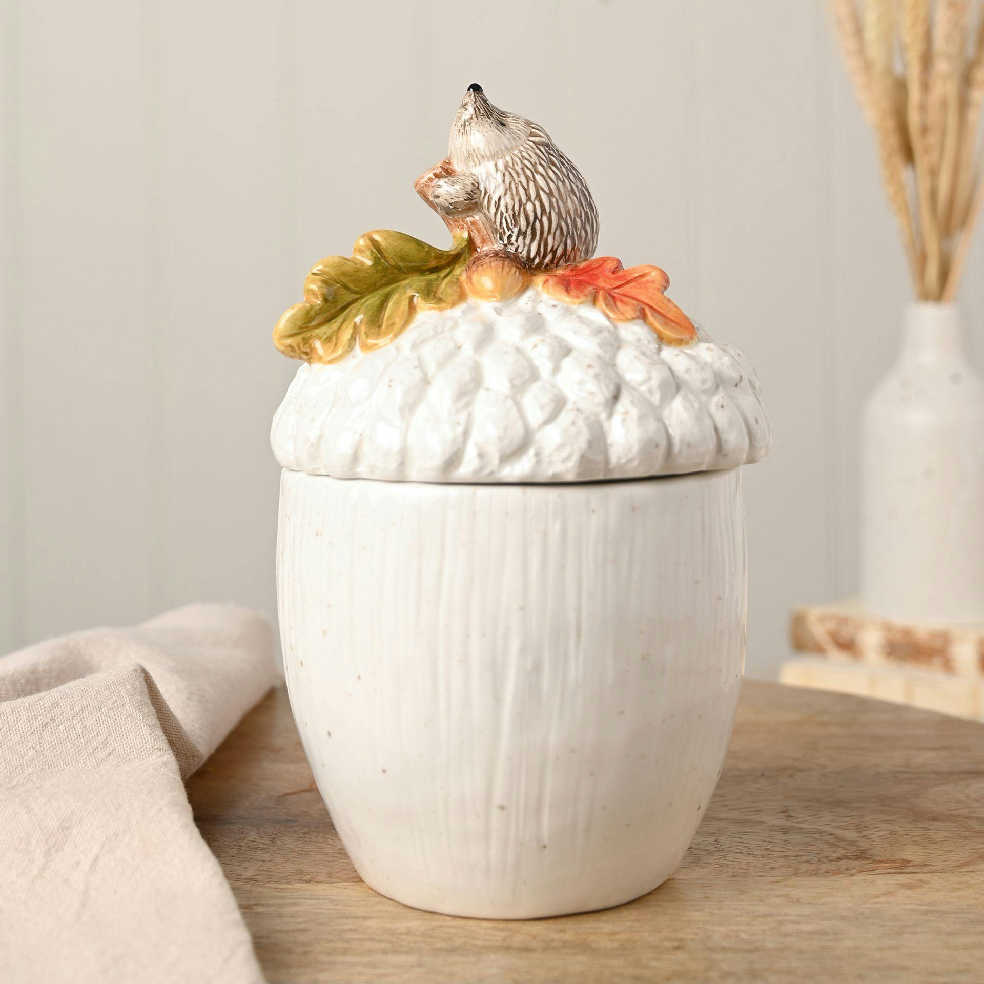 Country Living Hedgehog On An Acorn Storage Jar
