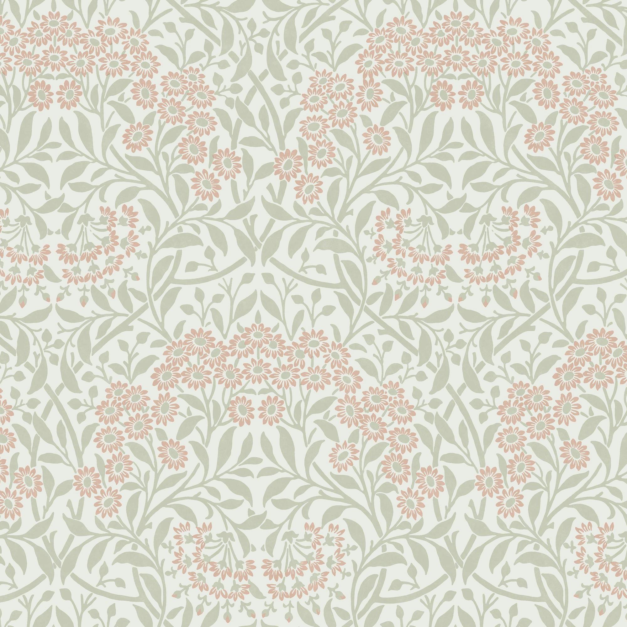 Rackhams Green/Pink/Ivory Michaelmas Daisy Wallpaper | Peony & Sage