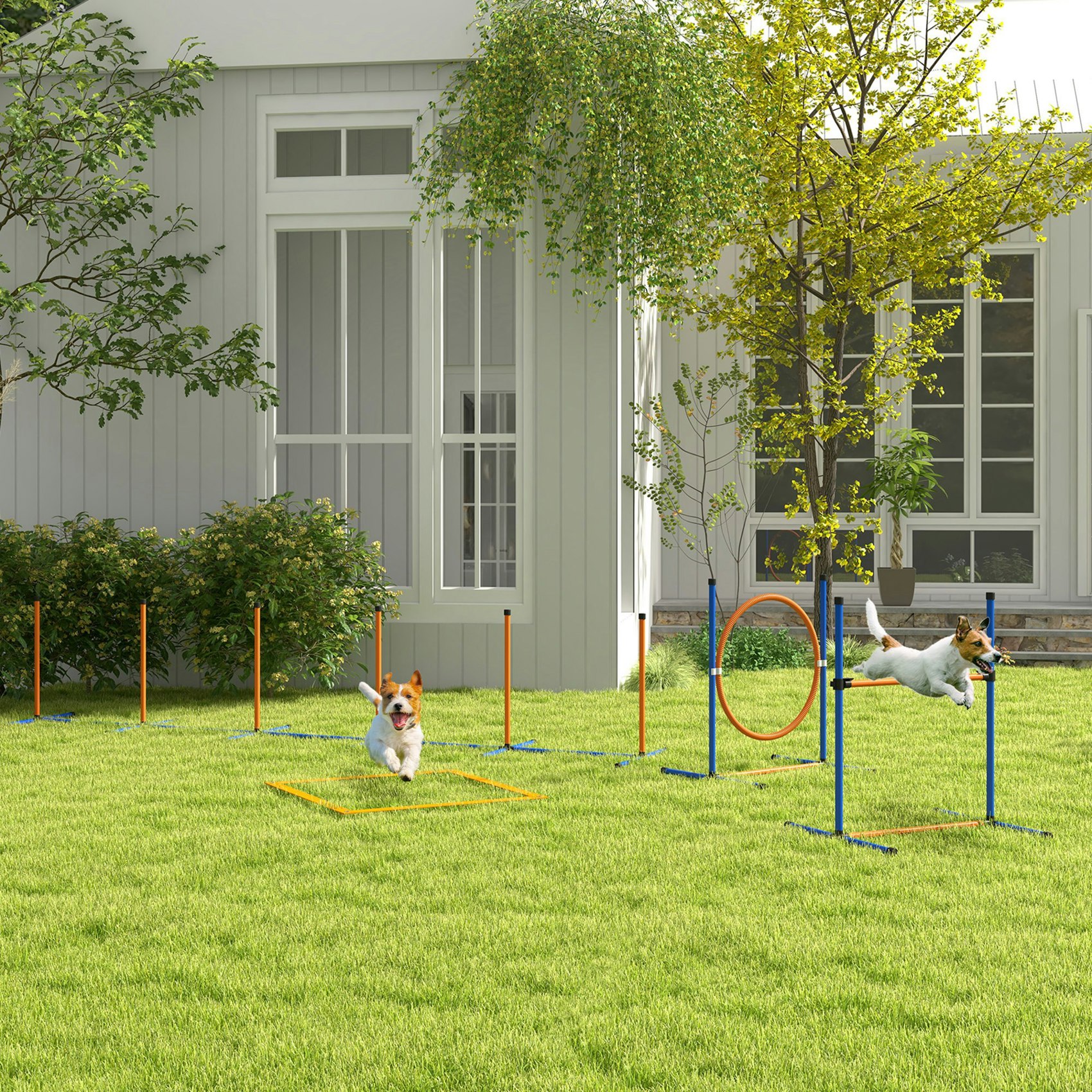 Pawhut 4 Pcs Dog Agility Training Equipment, Dog Outdoor Games W/ Carry Bag