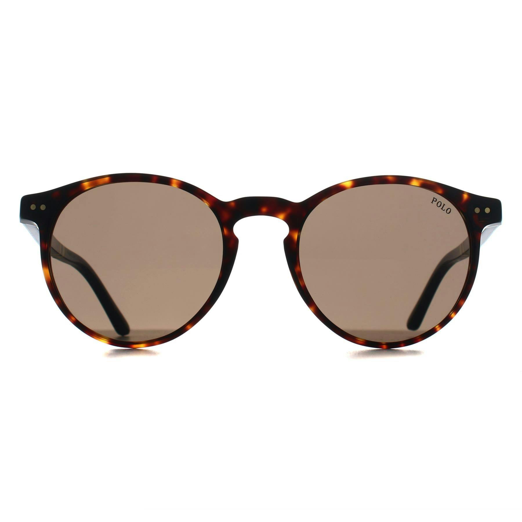 Polo Ralph Lauren Man Sunglass PH4236 - Frame color: Shiny Dark Havana, Lens color: Brown - Image 7