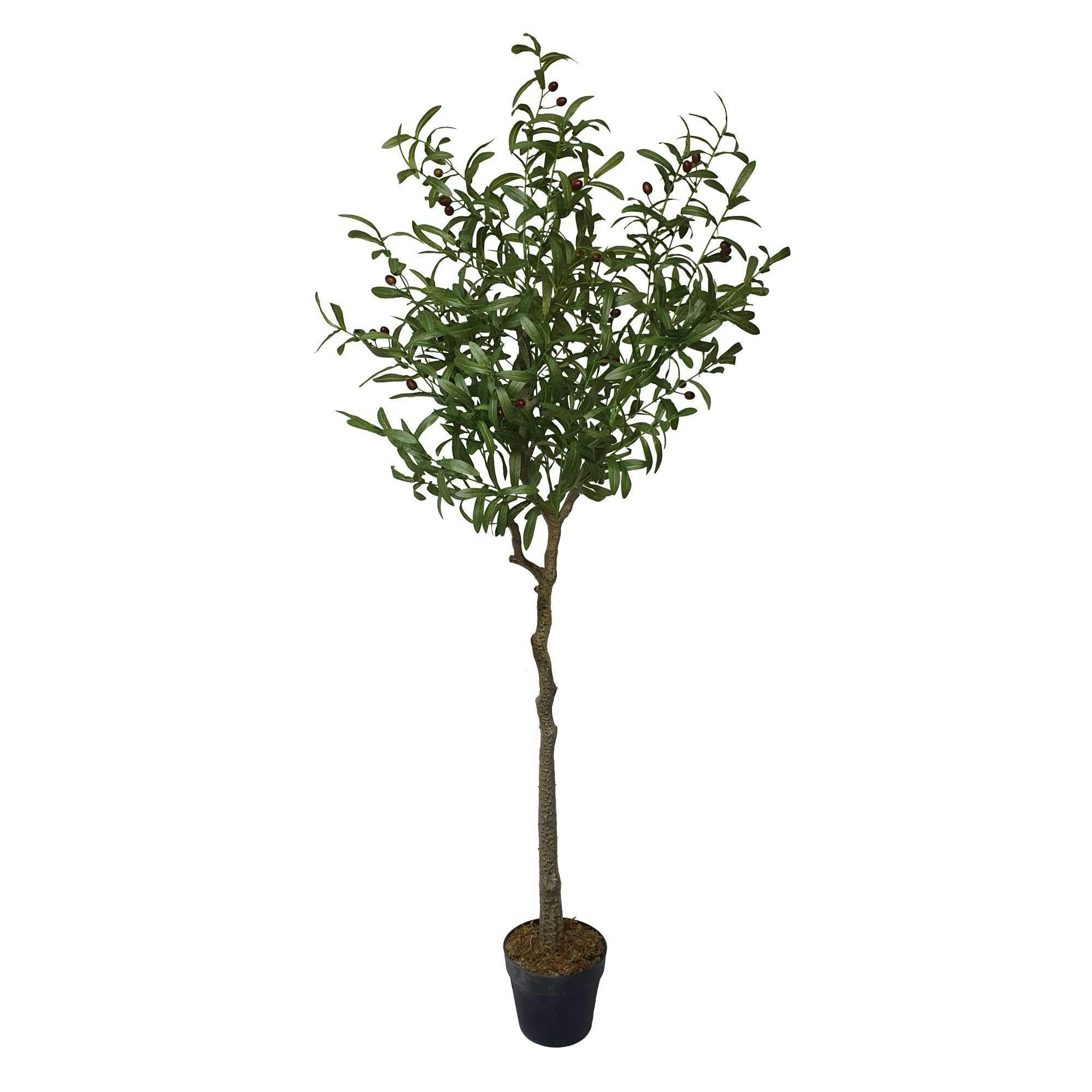 True Products Light/Green Artificial Olive Tree Tree 170Cm - Lifelike Elegance For Any Space