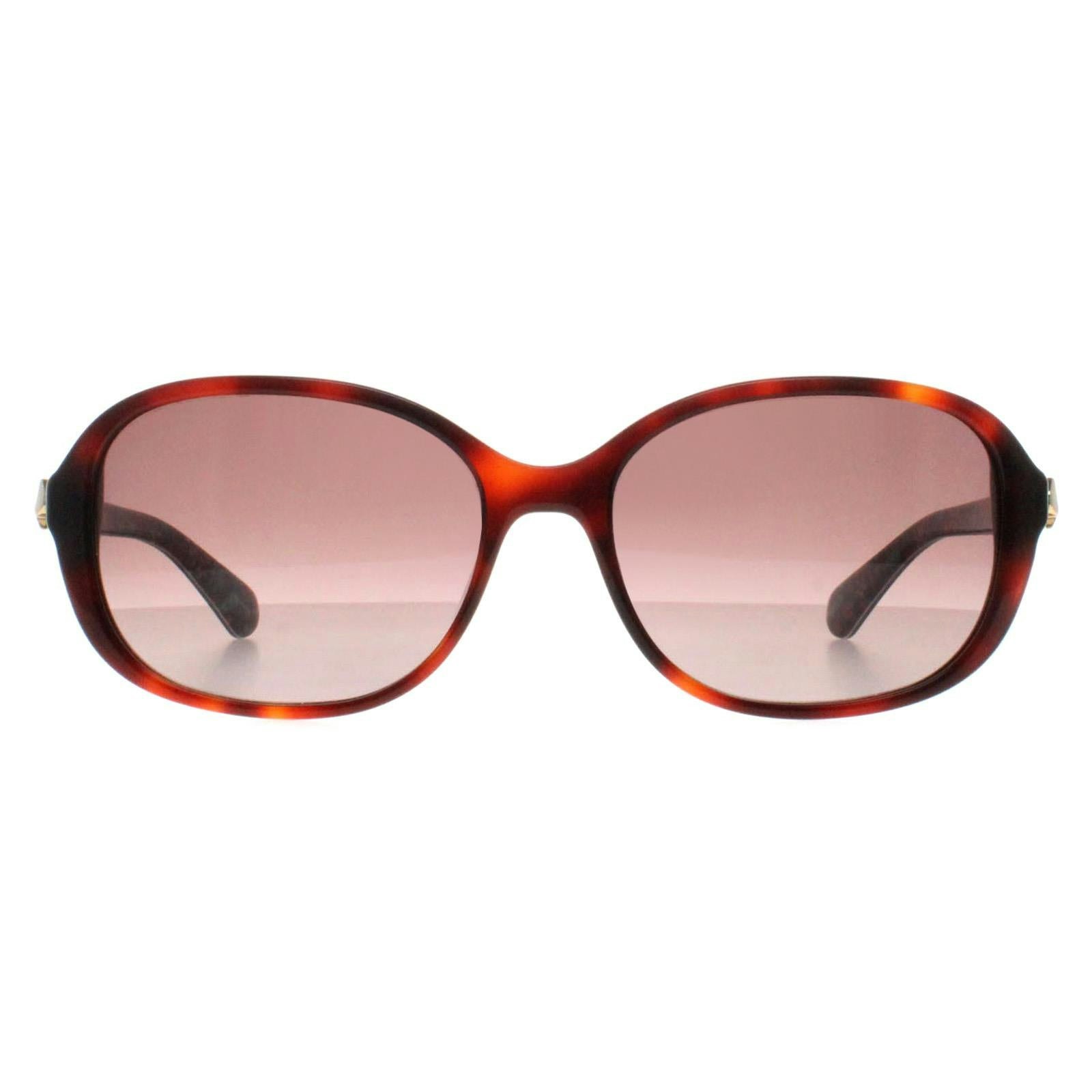 Kate Spade Women's Dark Izabella/G/S Shiny Havana Sunglasses