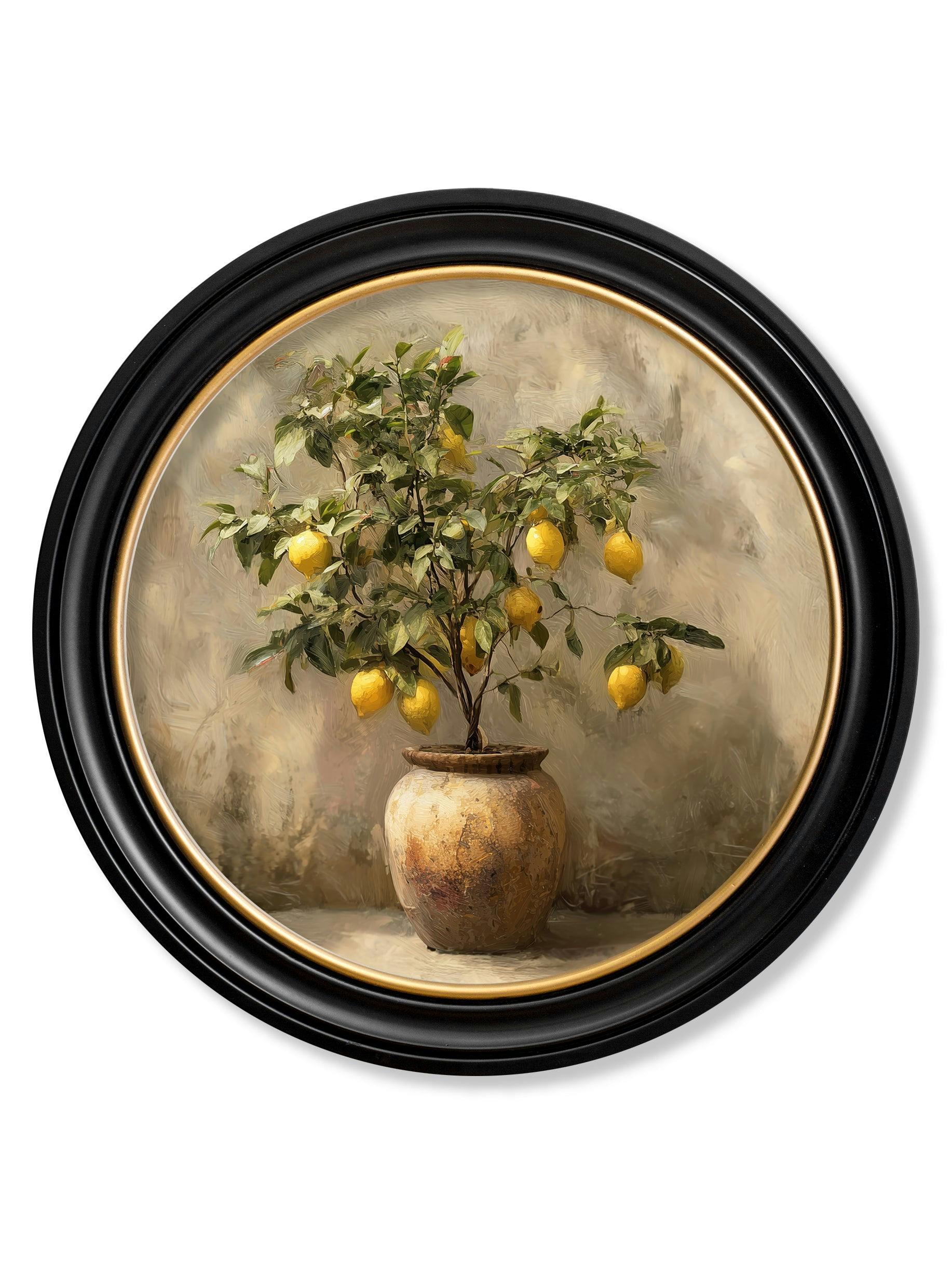 Rackhams Black/Gold/Yellow Mediterranean Lemon Tree - Oxford Round Frame - Mediterranean Lemon Tree - 70 X 70Cm
