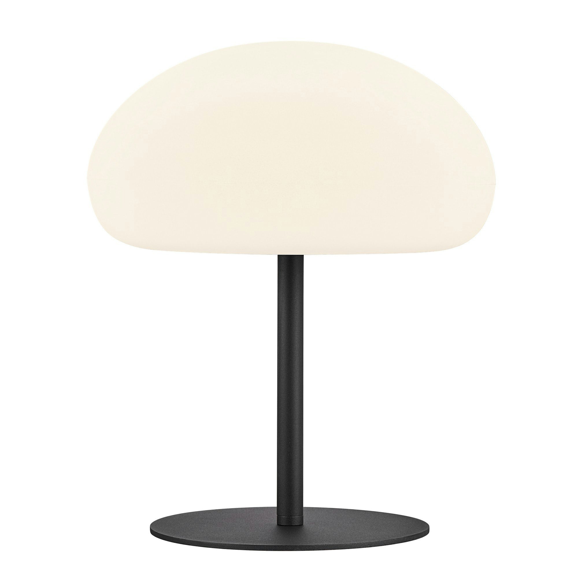 Rackhams Light/White Sponge 34 | Battery | - 1