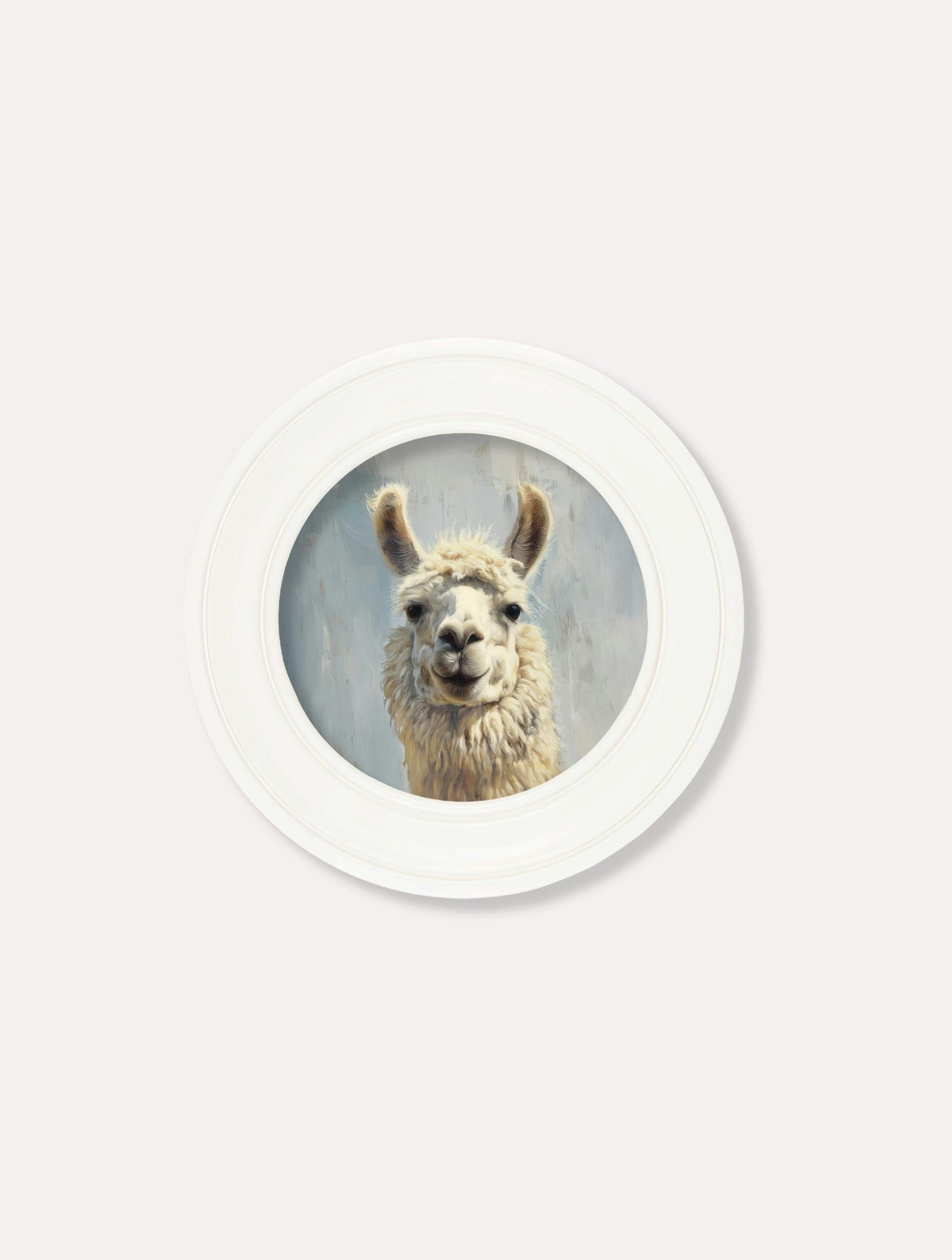 Rackhams White The Goofy Llama - Oxford Strong Round Frame - The Goofy Llama - 44 X 44 Cm