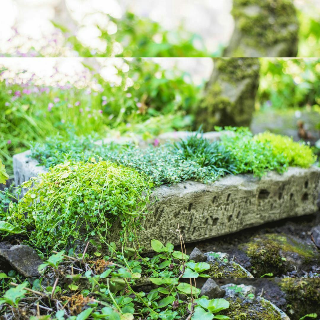 Osn Herb Garden Planter Trough