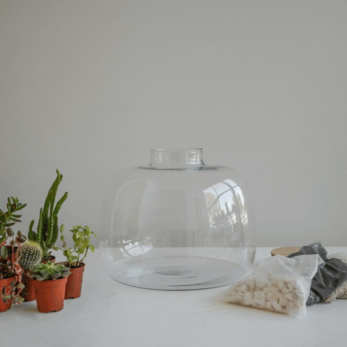 Ivyline Bowl Shape Terrarium Diy Kit - Large