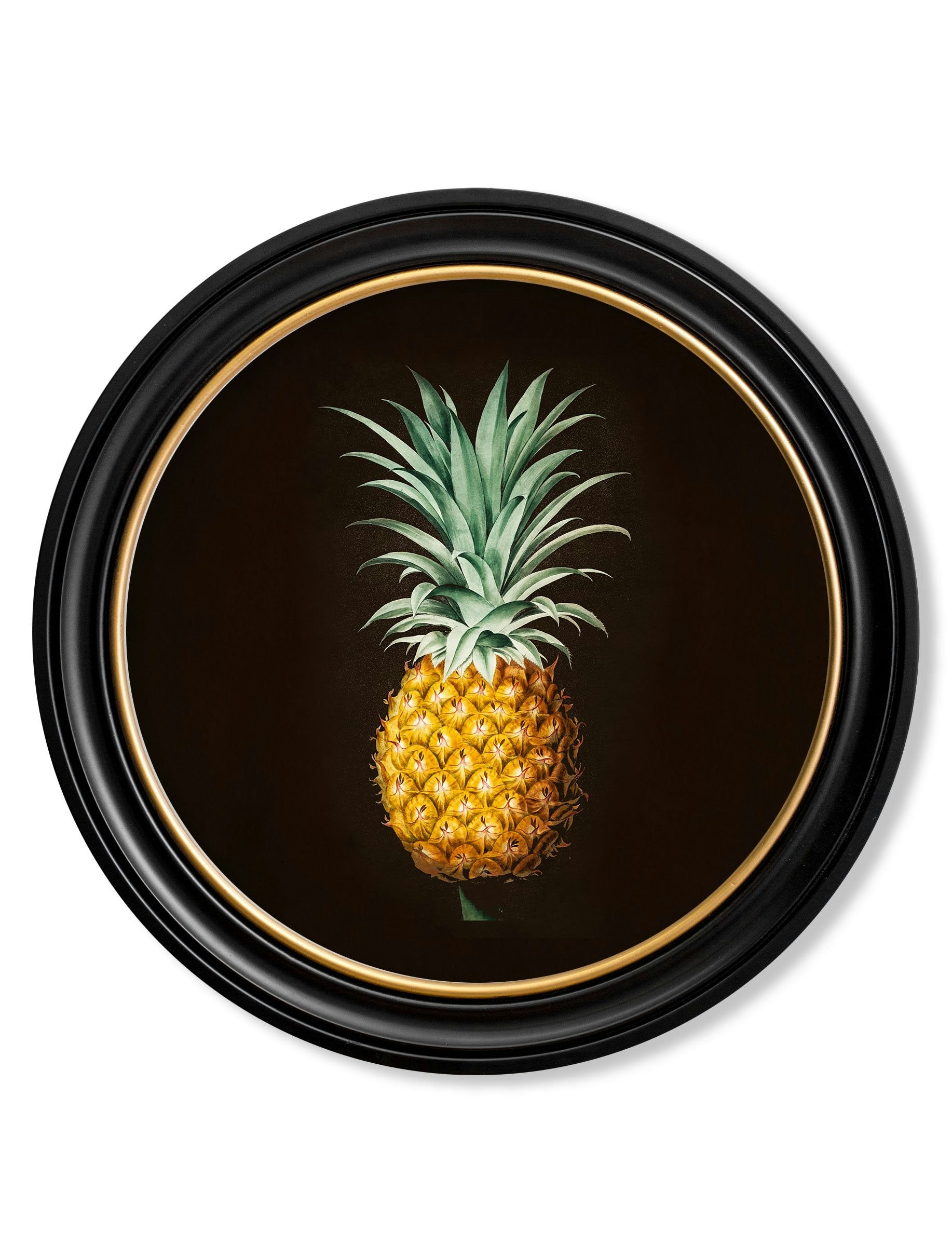 Rackhams Black C.1812 Pineapple Study (Black) - Round Frame - 70 X 70Cm - Oxford Round