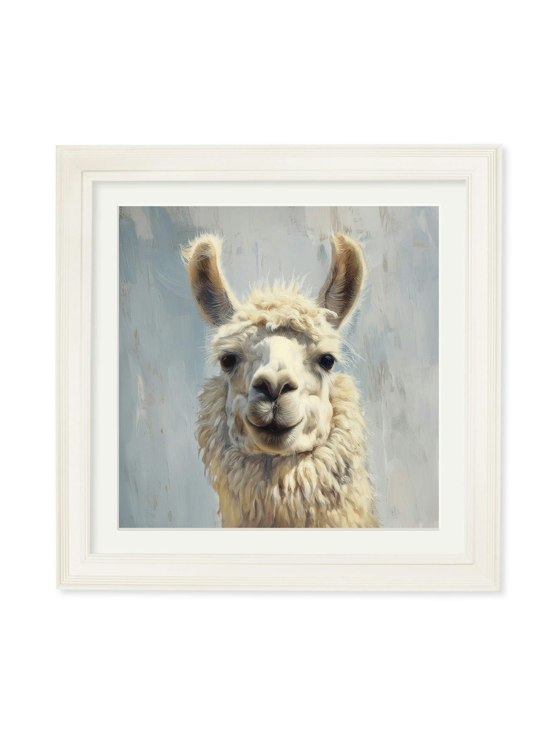 Rackhams Cream The Goofy Llama - Hurstwood Square Frame - The Goofy Llama - 70 X 70Cm