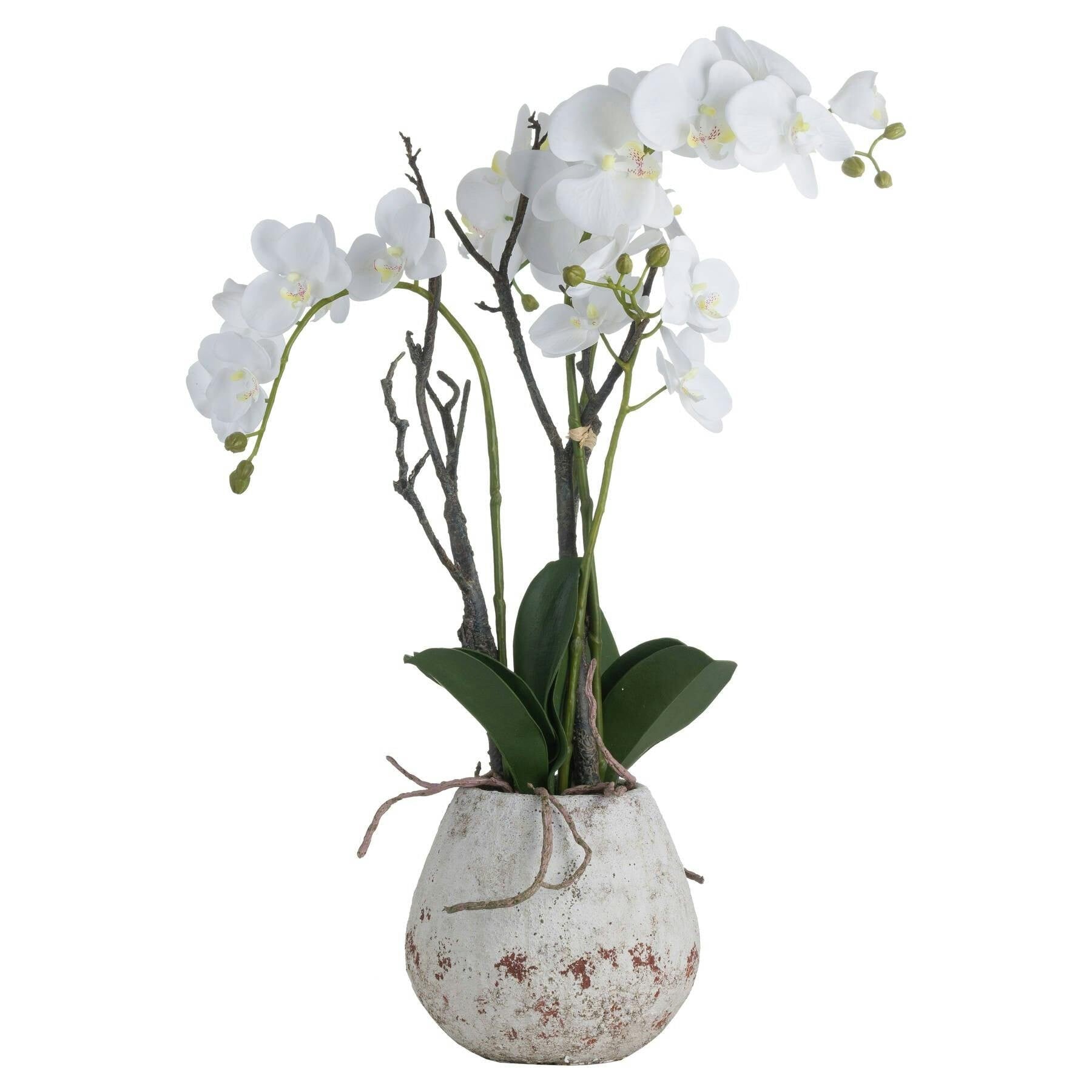 Wyld Haus Unisex White Artificial Orchid In Stone Effect Pot - Image 2