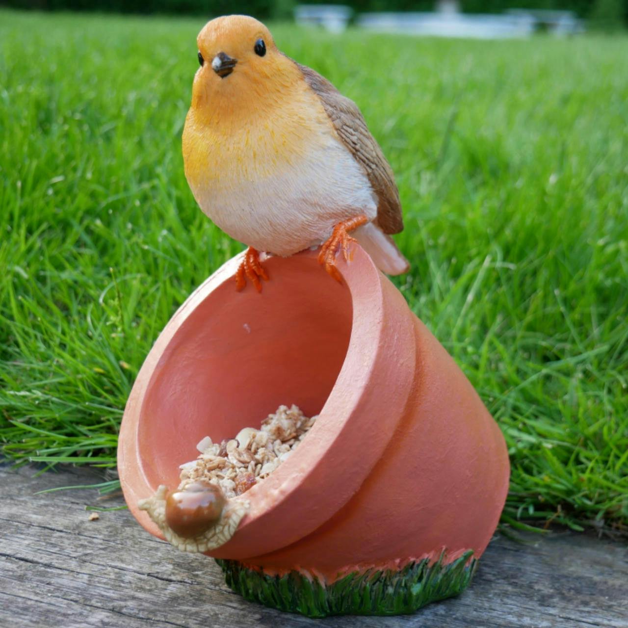 Rackhams Robin Sitting On Pot Bird Feeder