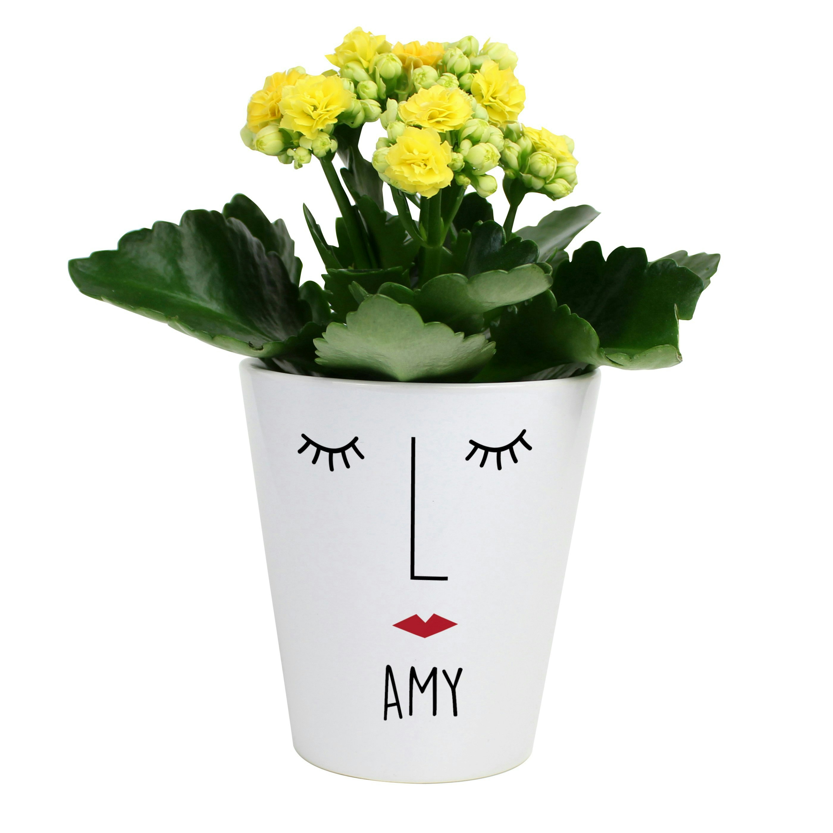 Personalised Memento Company Personalised 'Mrs Face' Plant Pot