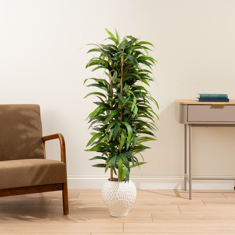 Scottish Everlastings Green 130Cm Slimline Bamboo Tree In Dimpled Ceramic Pot