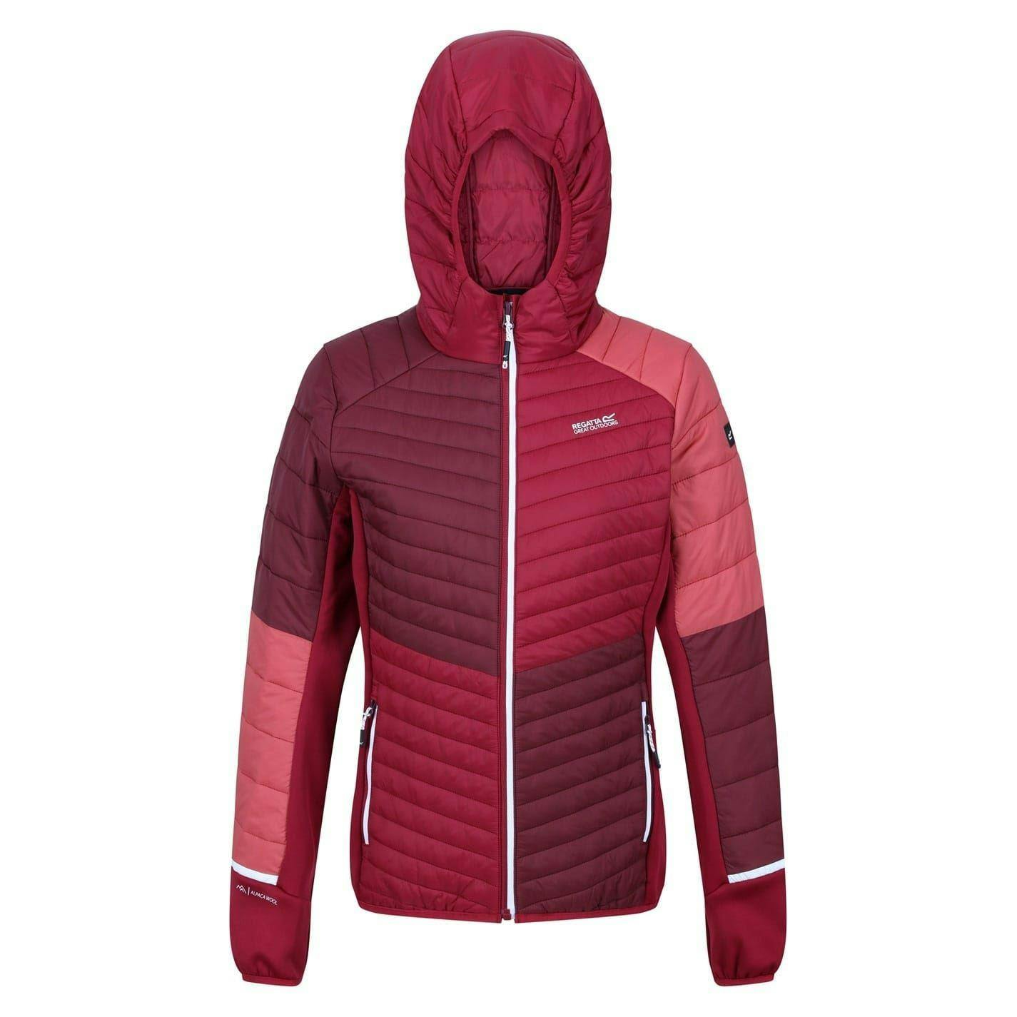 Regatta Women's Burgundy/Red Trutton Puffer Jacket - /Rumba - 8 Uk - /Rumba - 100% Polyamide