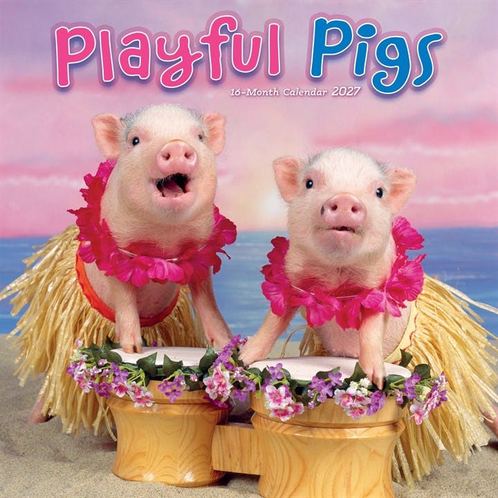 Playful Pigs Calendar 2027, Wall Calendars, Month To View, Animals, Gift - Image 3