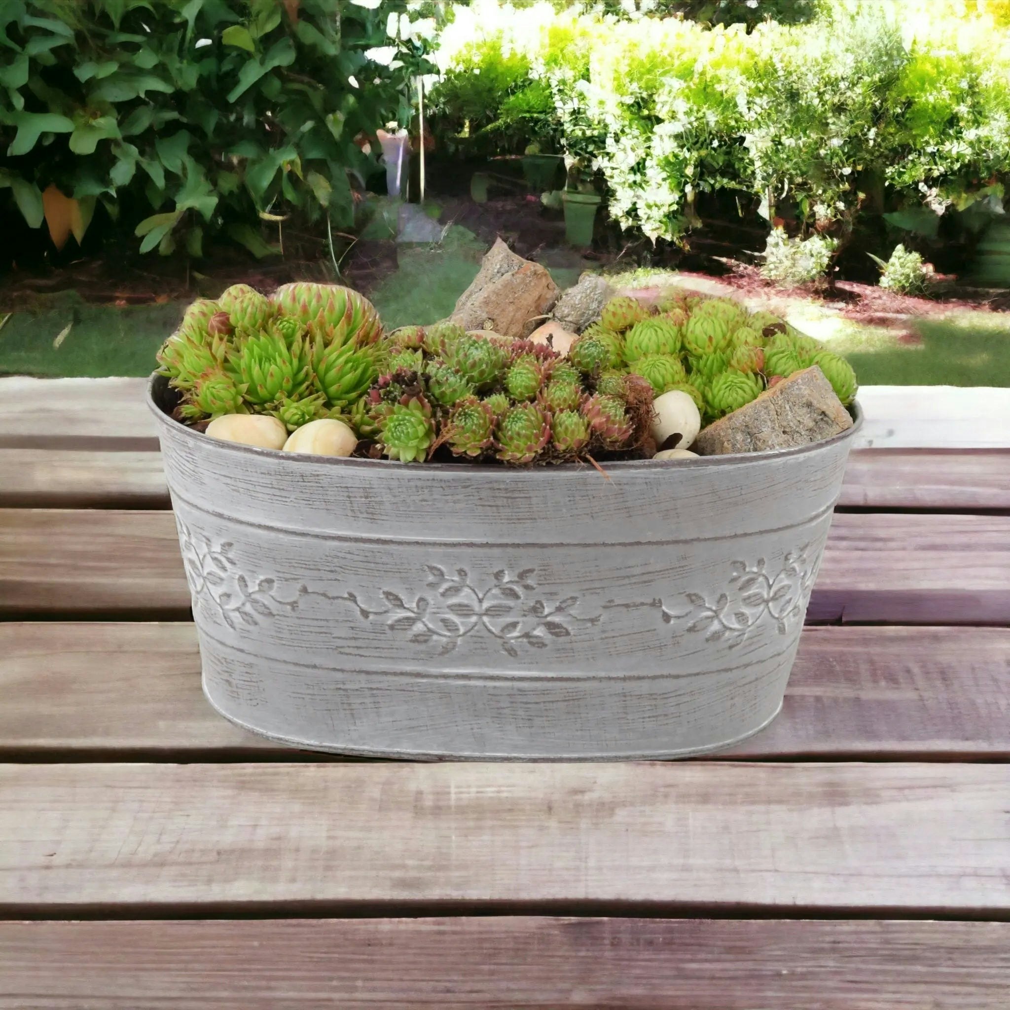 Plants By Post Sempervivum Leafy Vine Trough Planter – Hardy Succulent In Decorative Metal Trough
