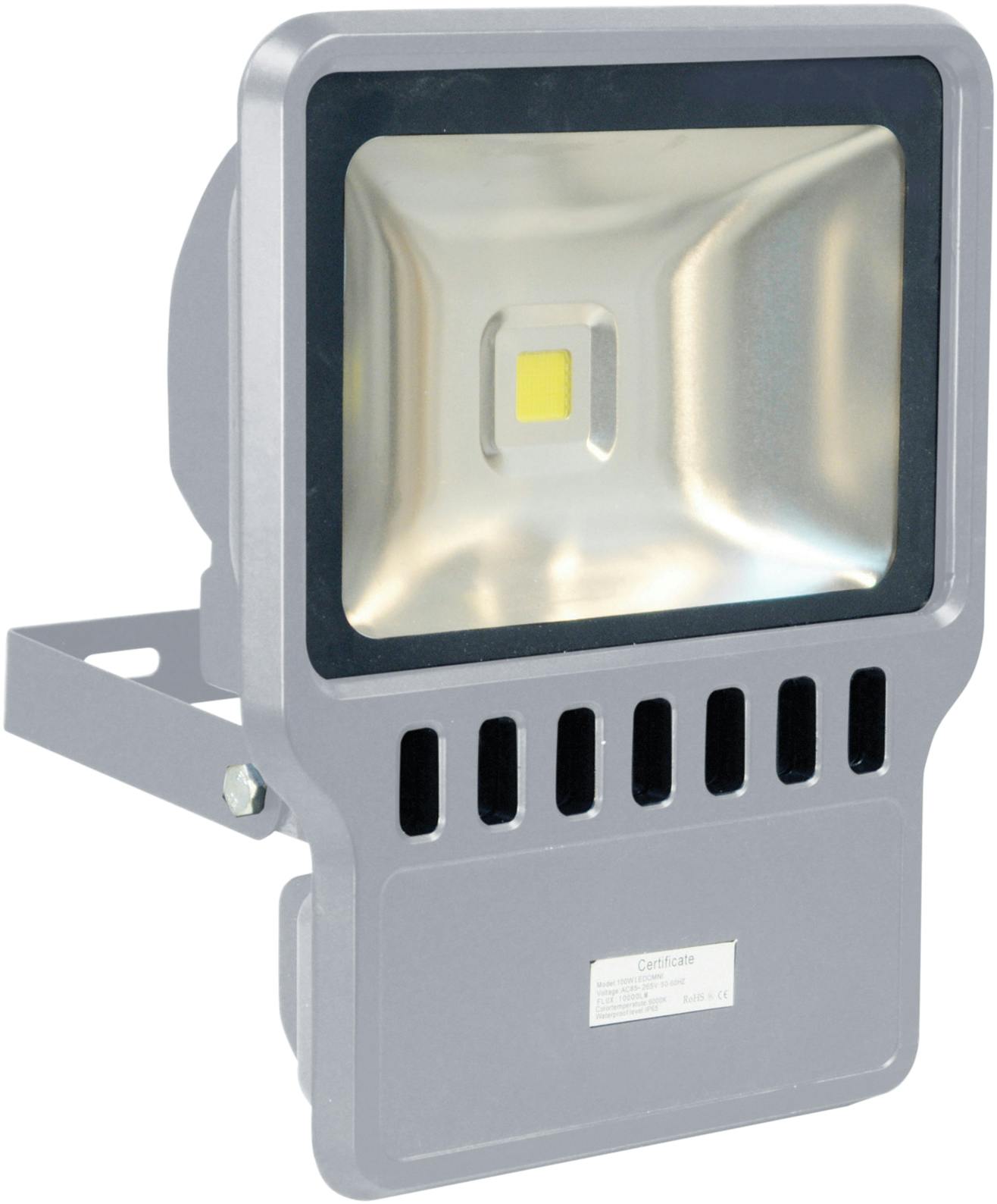 Eagle Light/Grey 100W Led Flood