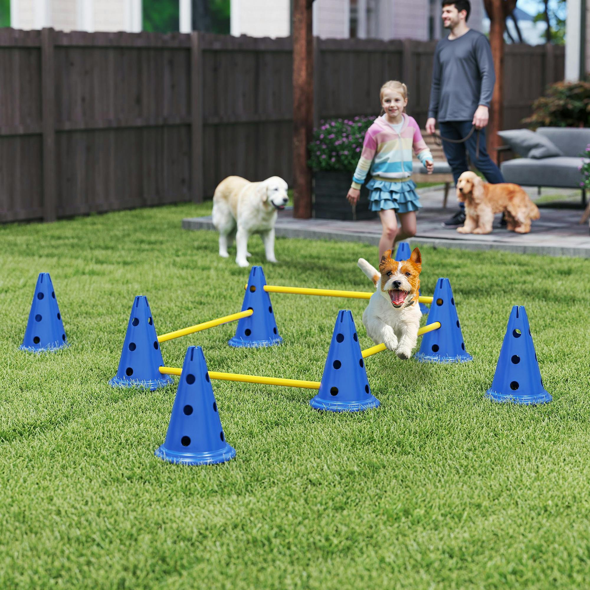 Pawhut Blue Dog Agility Equipment Set, Adjustable Height Jumping