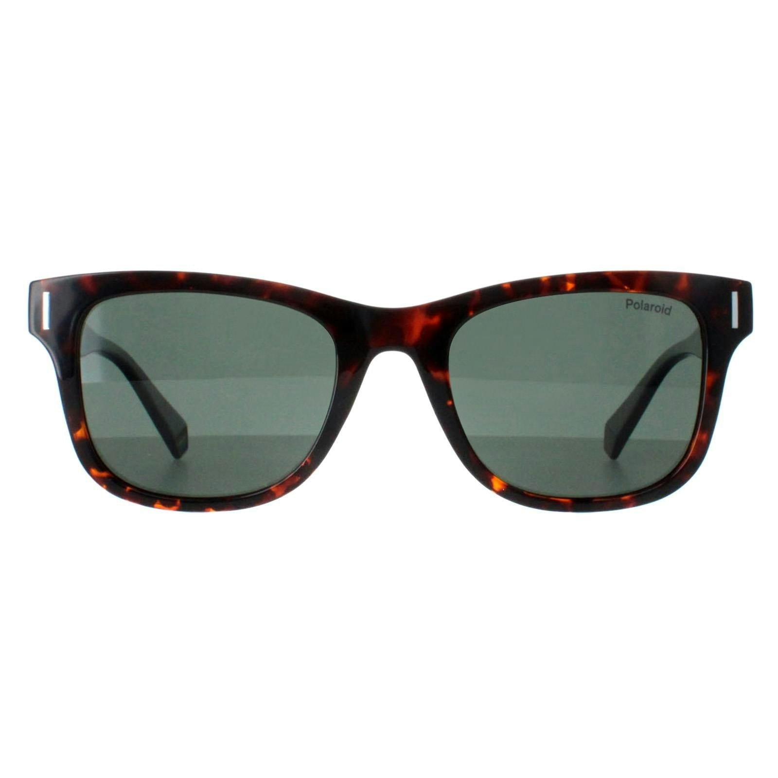 Polaroid Unisex Green Pld 6206/S Havana Sunglasses