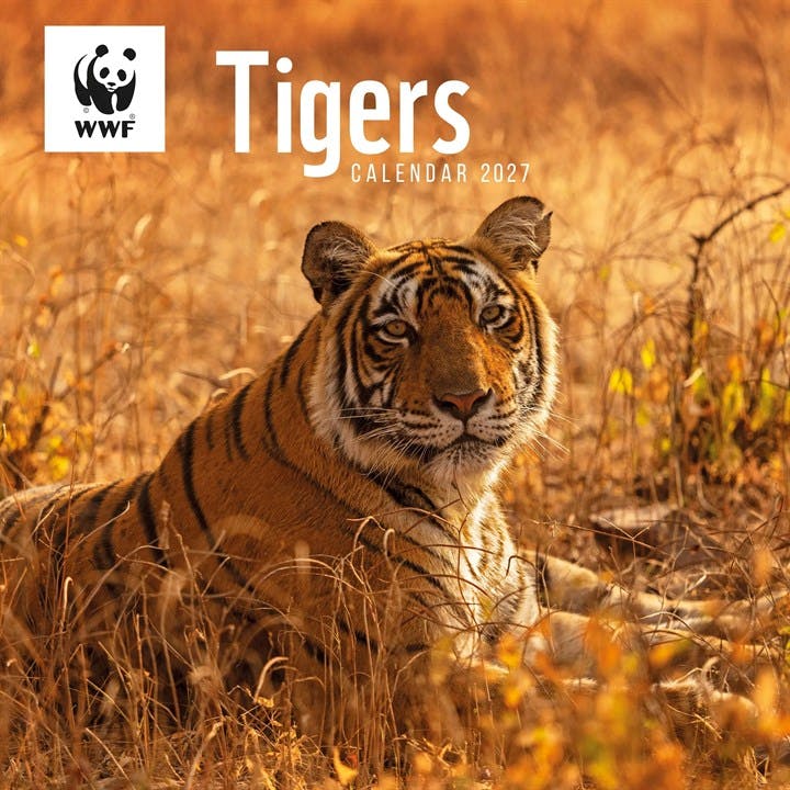 Rackhams Wwf, Tigers Calendar 2027, Wall Calendars, Month To View, Animals, Gift