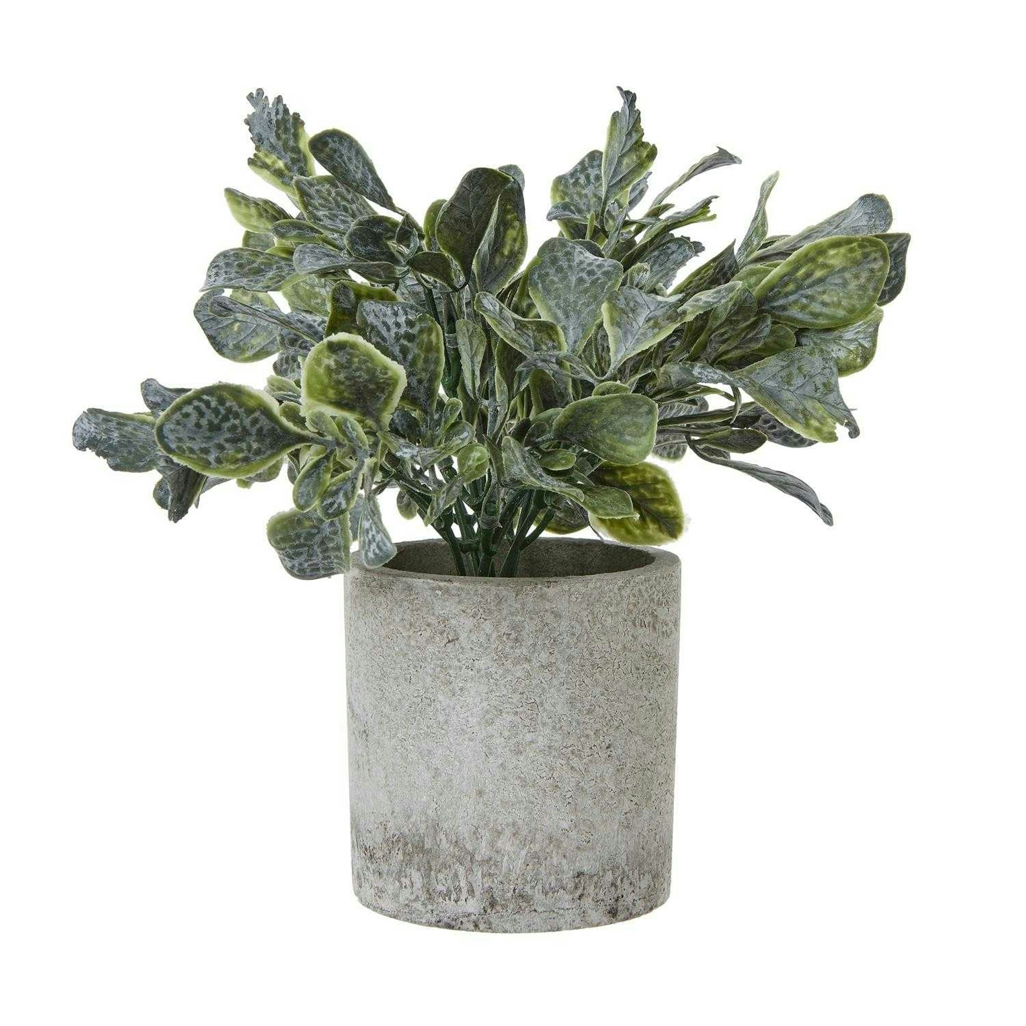 Hill Interiors Green Giana Eucalyptus Artificial Plant - 20Cm