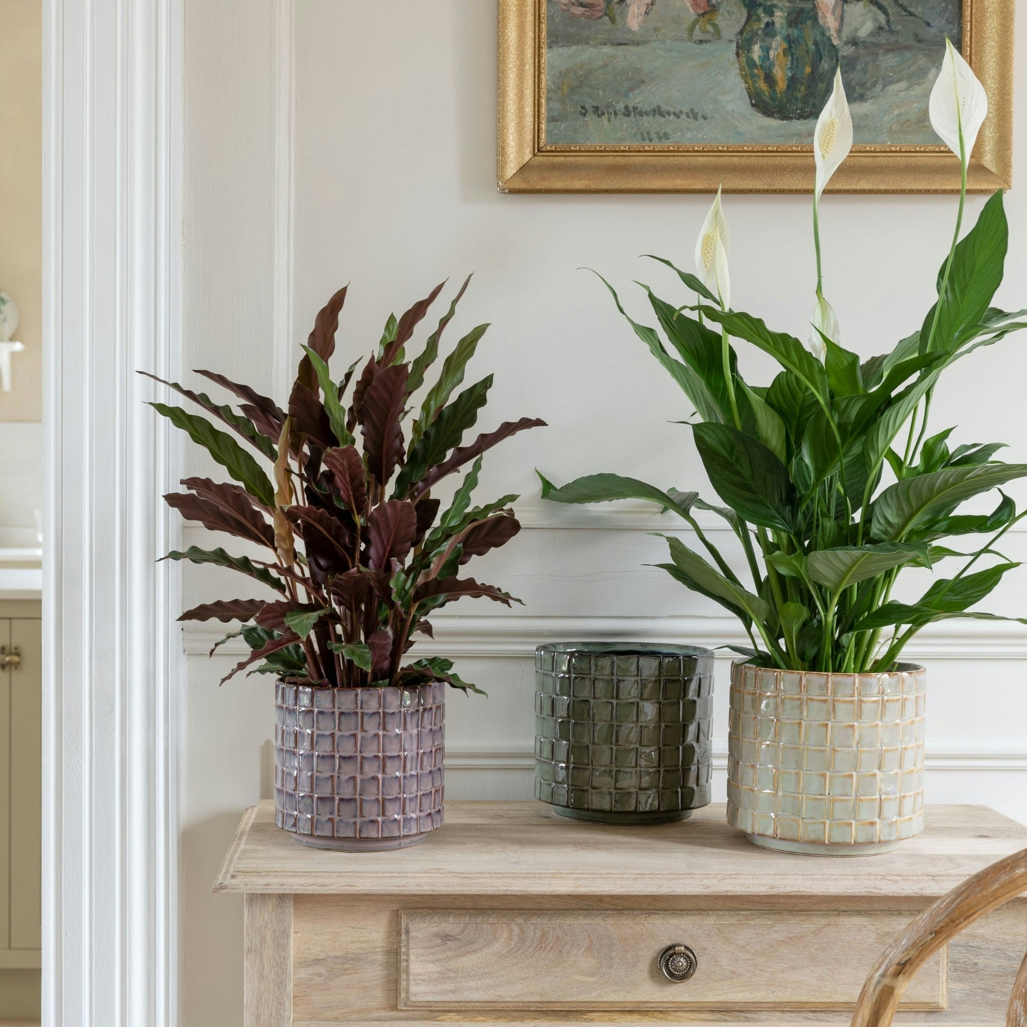 Rackhams Ivory Tarah Textured Glaze Planter