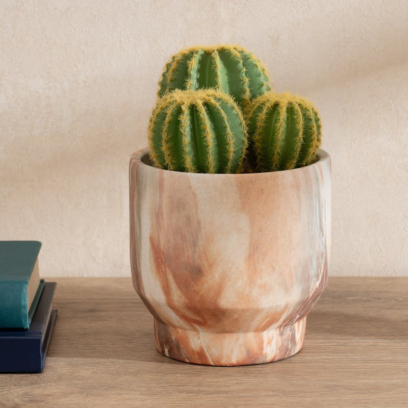 Scottish Everlastings Green 20Cm Cactus In Cement Pot