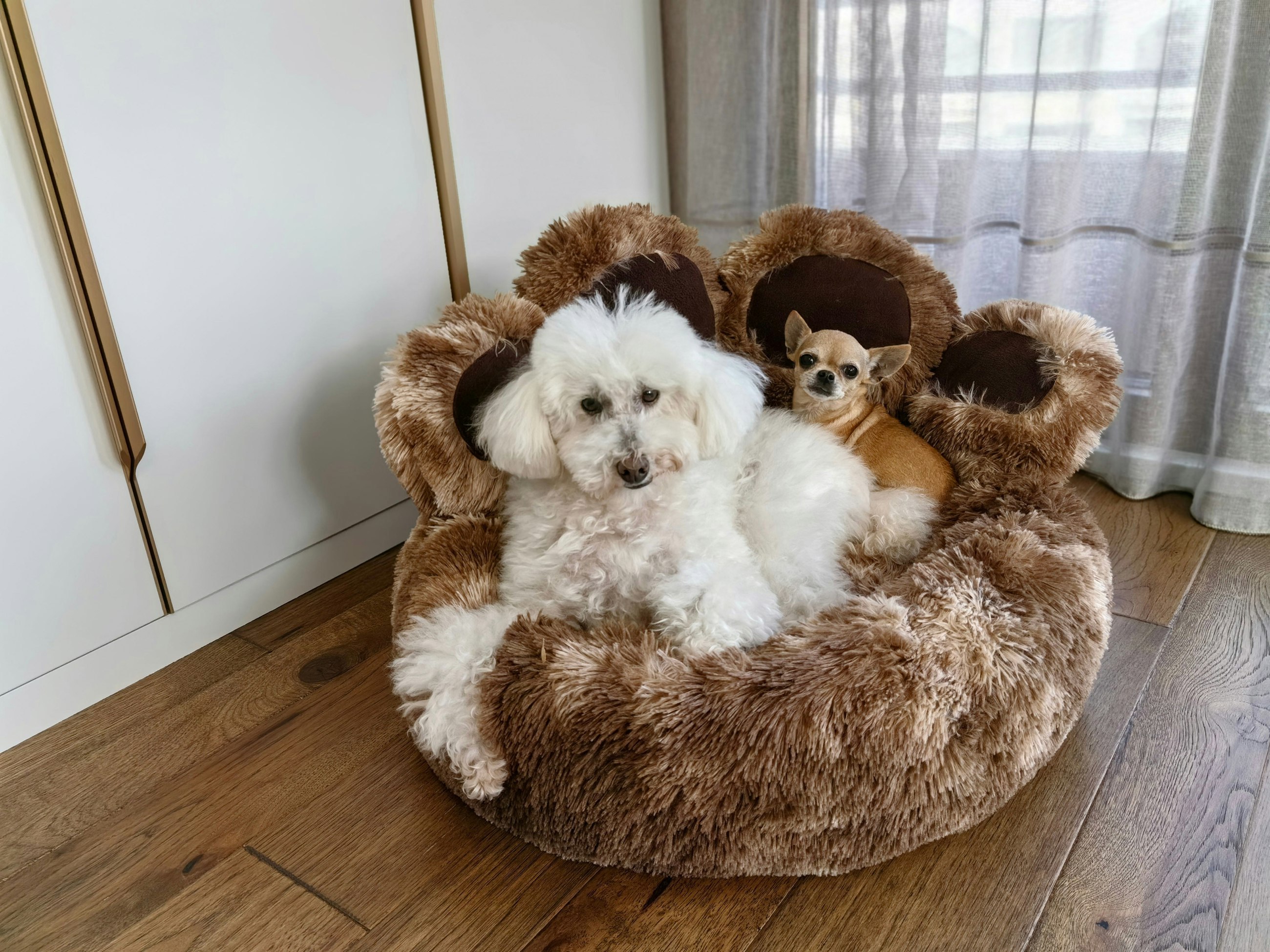 Snug And Cosy Pets Brown Anxiety Relieving Calming Dog Bed Paw - M - 75 X 21Cm