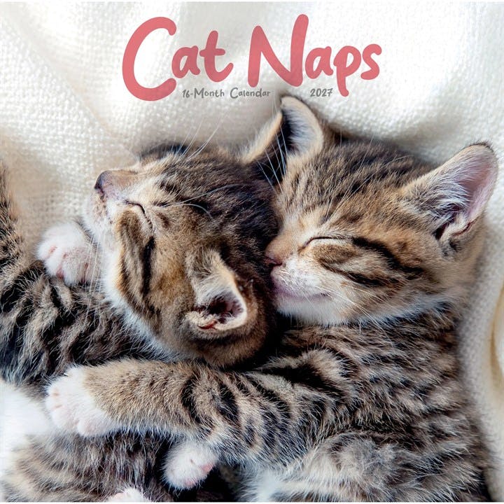 Light Cat Naps Calendar 2027, Wall Calendars, Month To View, Cats, Gift