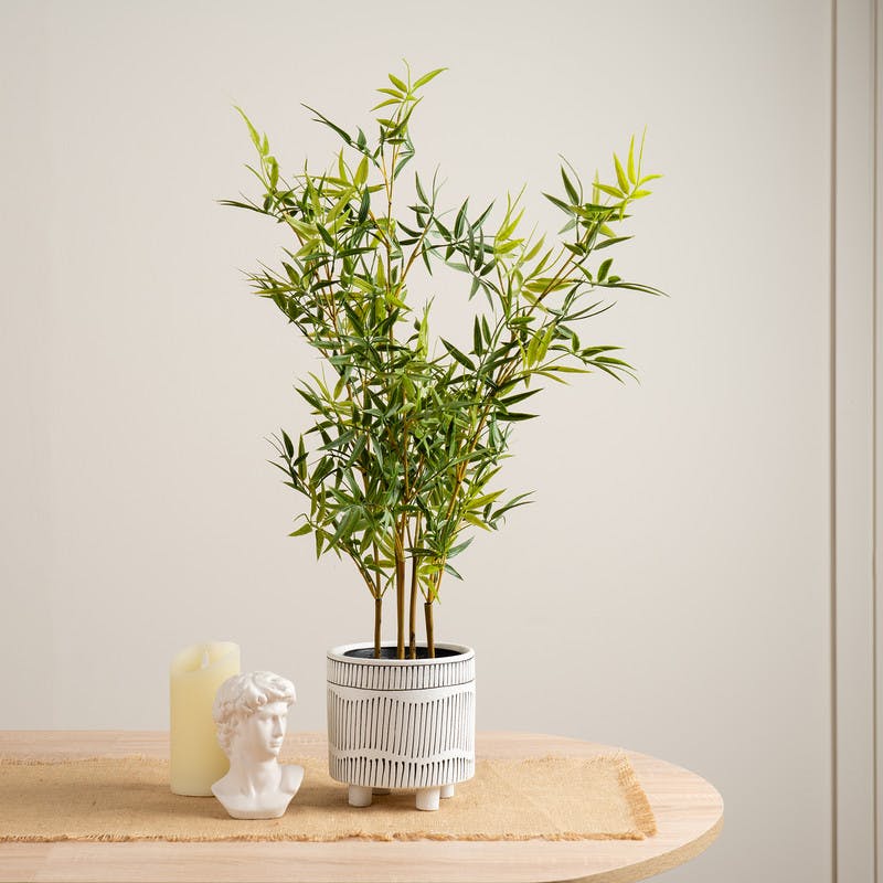 Scottish Everlastings Light/Black 75Cm Mini-Leaf Bamboo Tree