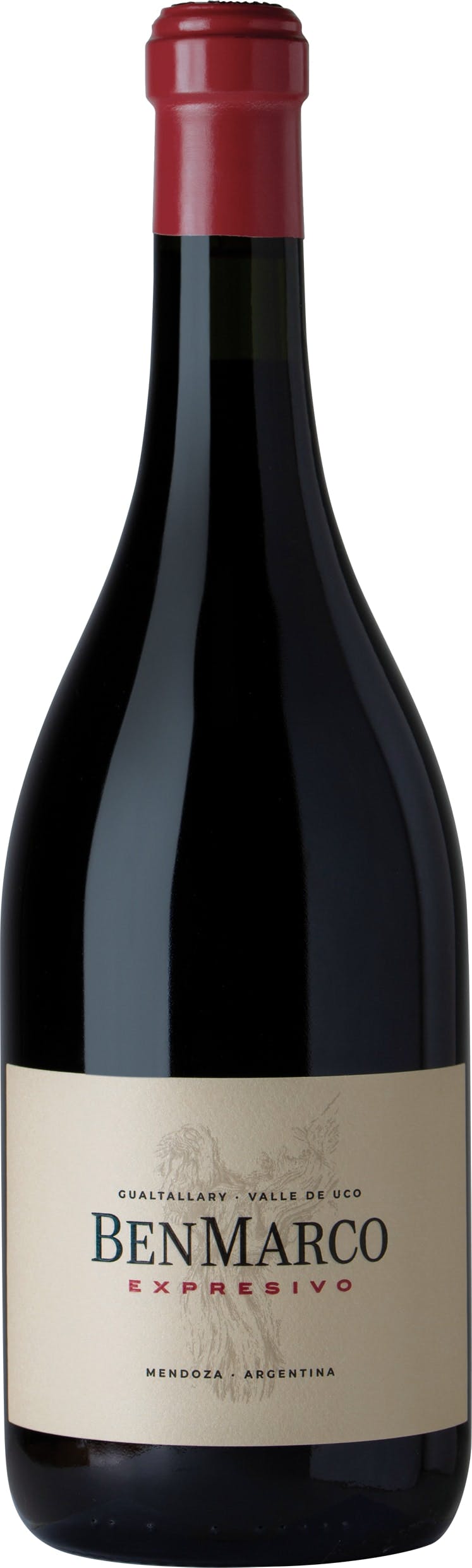 Various Wine Red Susana Balbo Benmarco Expresivo 2022 75Cl - Pack Of 6