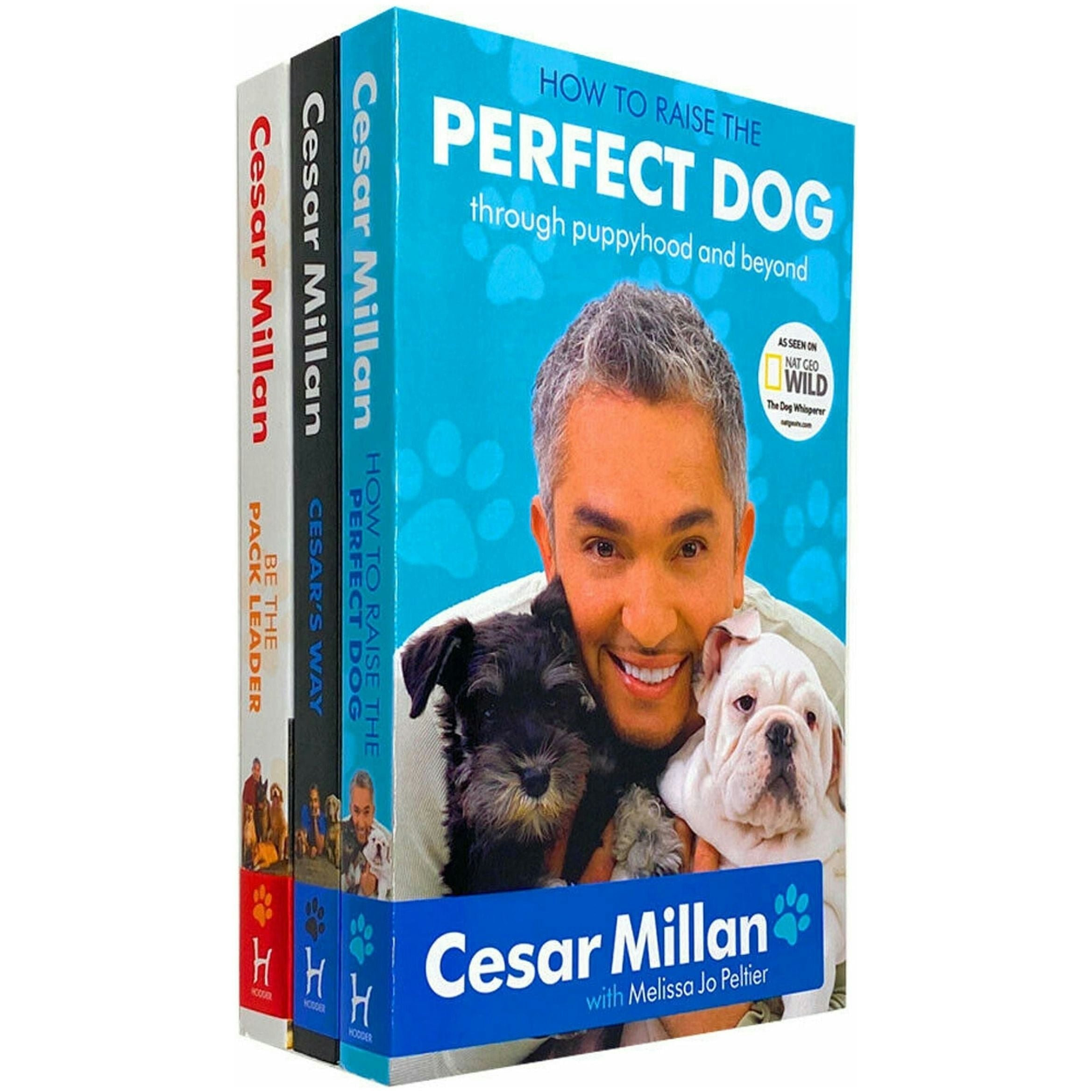 Hodder Cesar Millan 3 Book Set How To Raise The Perfect Dog, Cesars Way, Be The Pack Leader