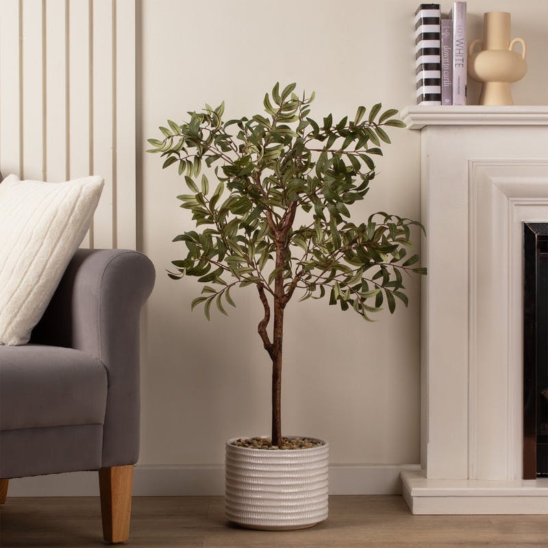Scottish Everlastings Green 110Cm Olive Tree In Ceramic Pot