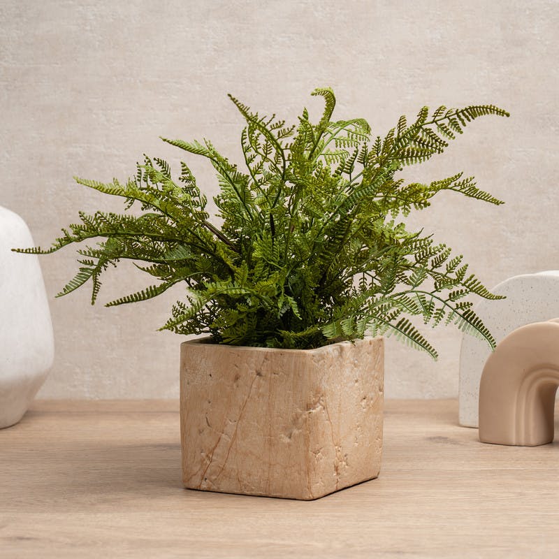 Scottish Everlastings Green 37Cm Fern In Travertine Style Pot