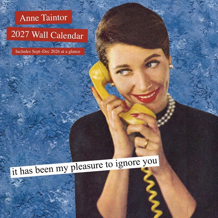 Anne Taintor Calendar 2027 - Image 7