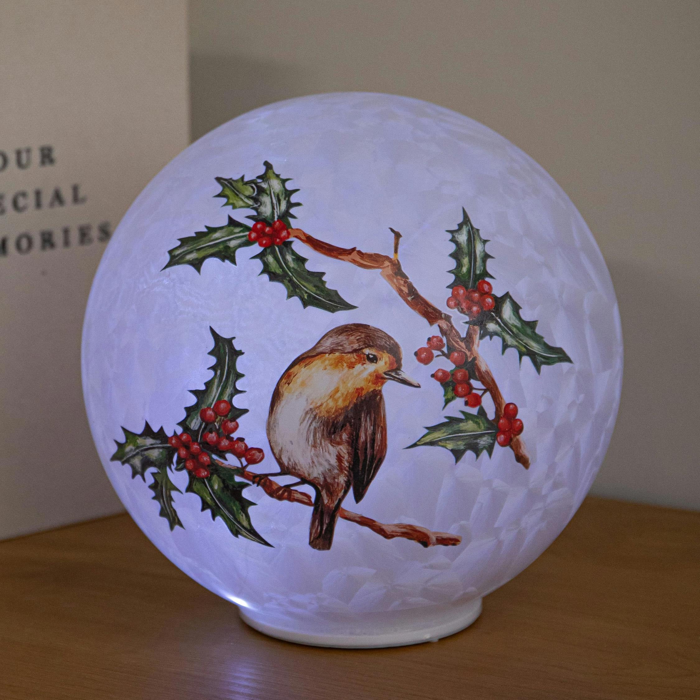 Samuel Alexander Light Up Christmas Glass Ball With Robin & 20 Cool White Leds - Image 4