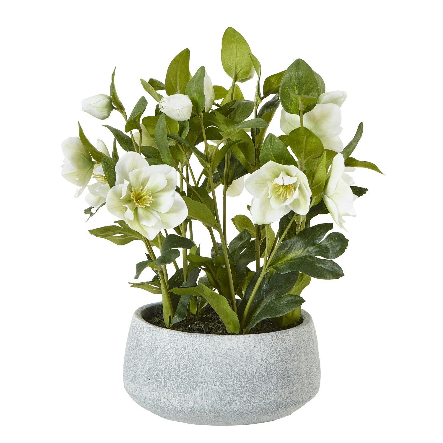 Wyld Haus White/Grey Artificial Plant Hellebore Plant In Ceramic Pot