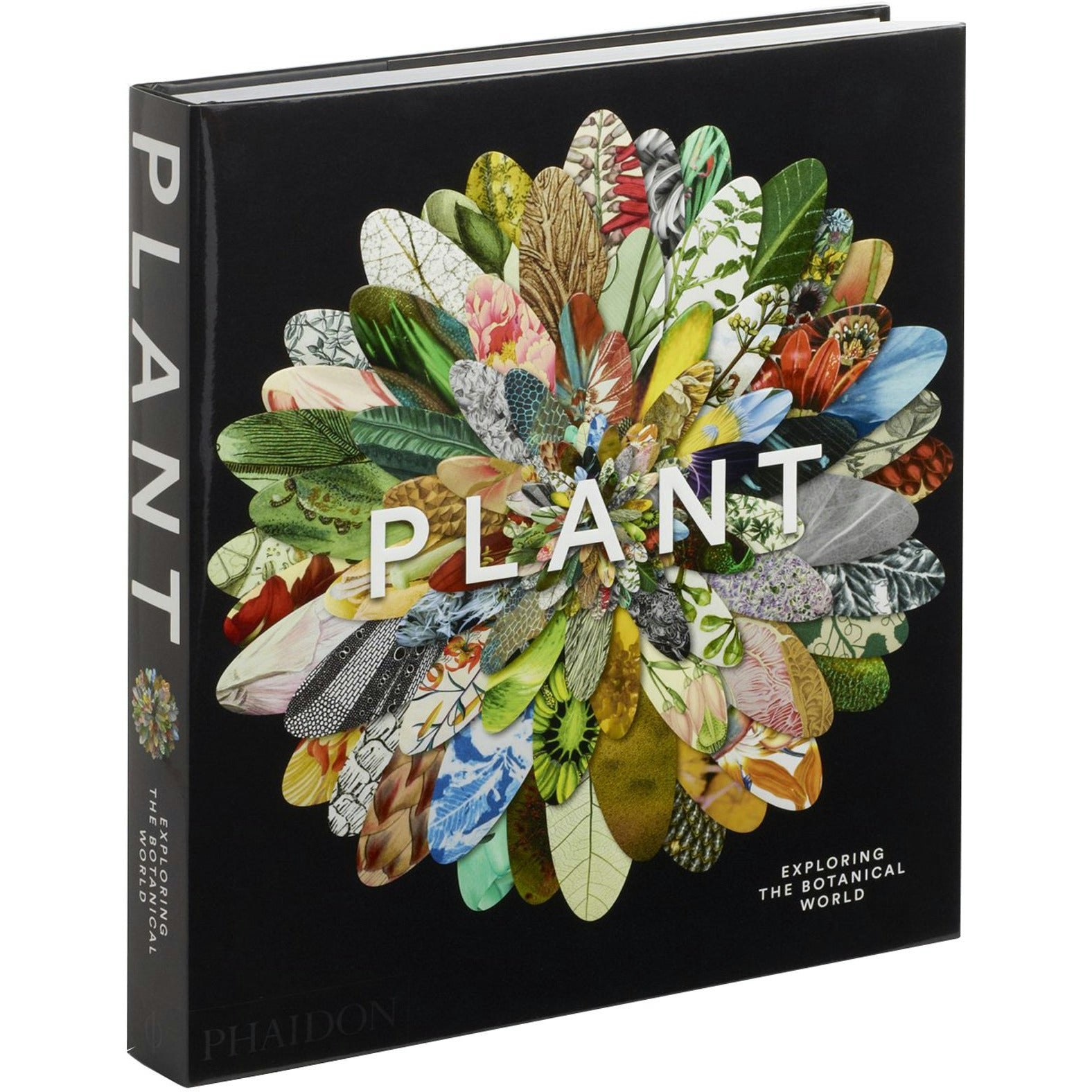 Phaidon Press Plant Exploring The Botanical World