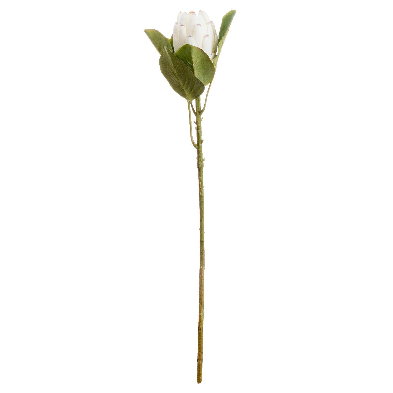 Hill Interiors White Artificial Closed Protea Flower - One Size