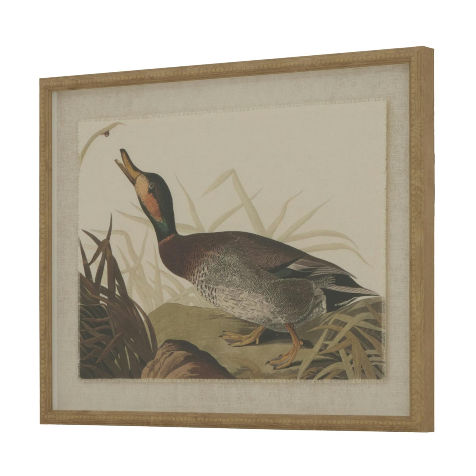 Hill Interiors Beige Flora & Fauna Collection Duck Linen Framed Art Print - Multicoloured - 50Cm X 2Cm X 40Cm
