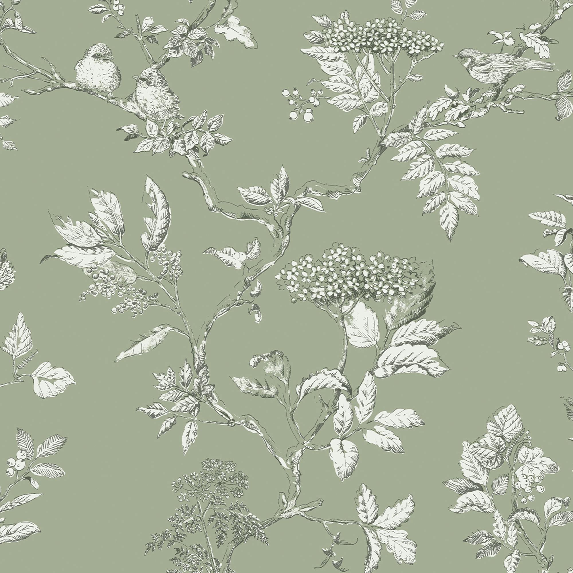 Laura Ashley Green Elderwood Wallpaper - Sage - 10M