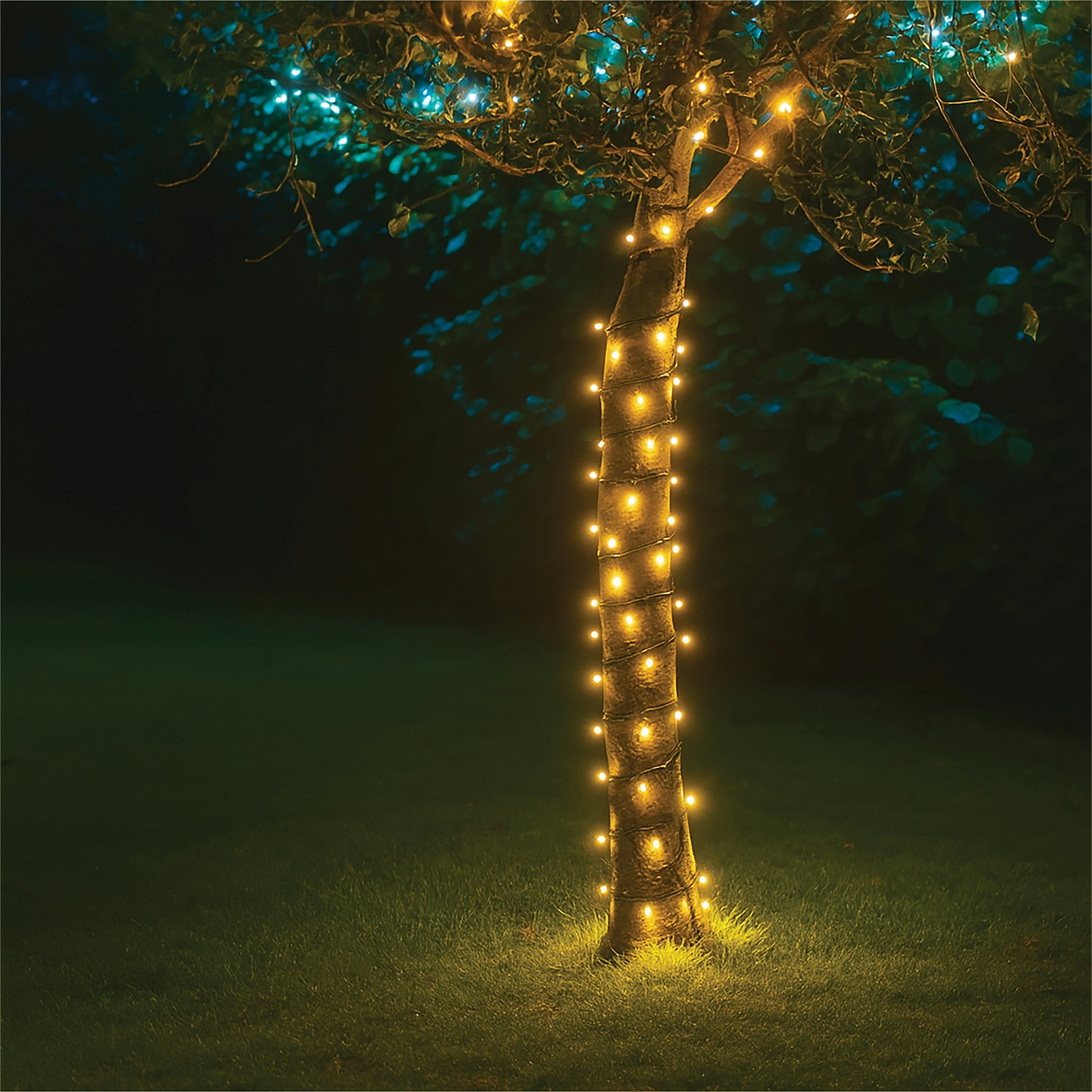 Eagle Connect Black/White Led String Lights Rubber Warm 5M