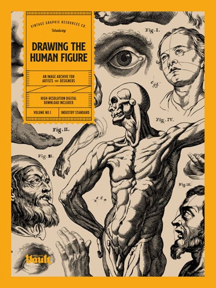 Search Press Drawing The Human Figure - Kale James - Vault Editions Image Archives - Image 4