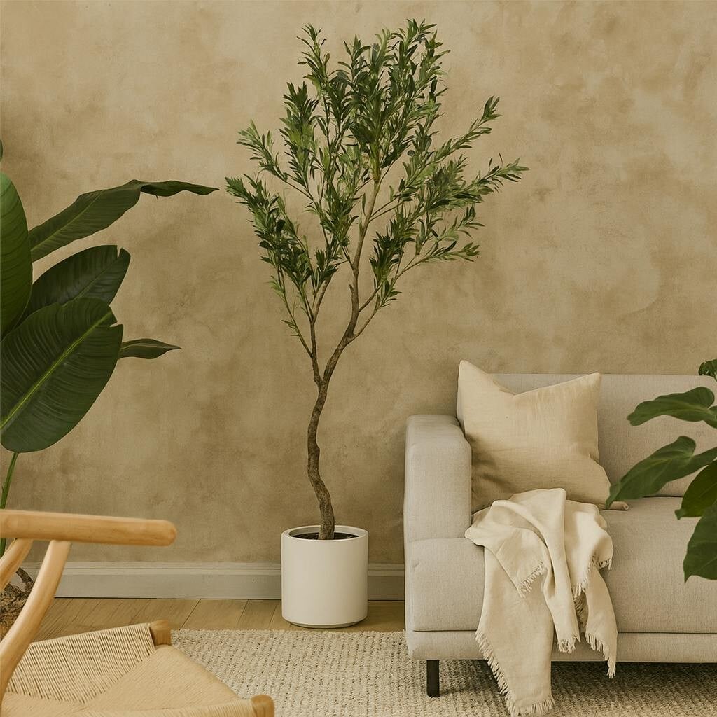 B&Q -  200Cm Mediterranean Artificial Olive Tree In White Ceramic Pot - Image 3