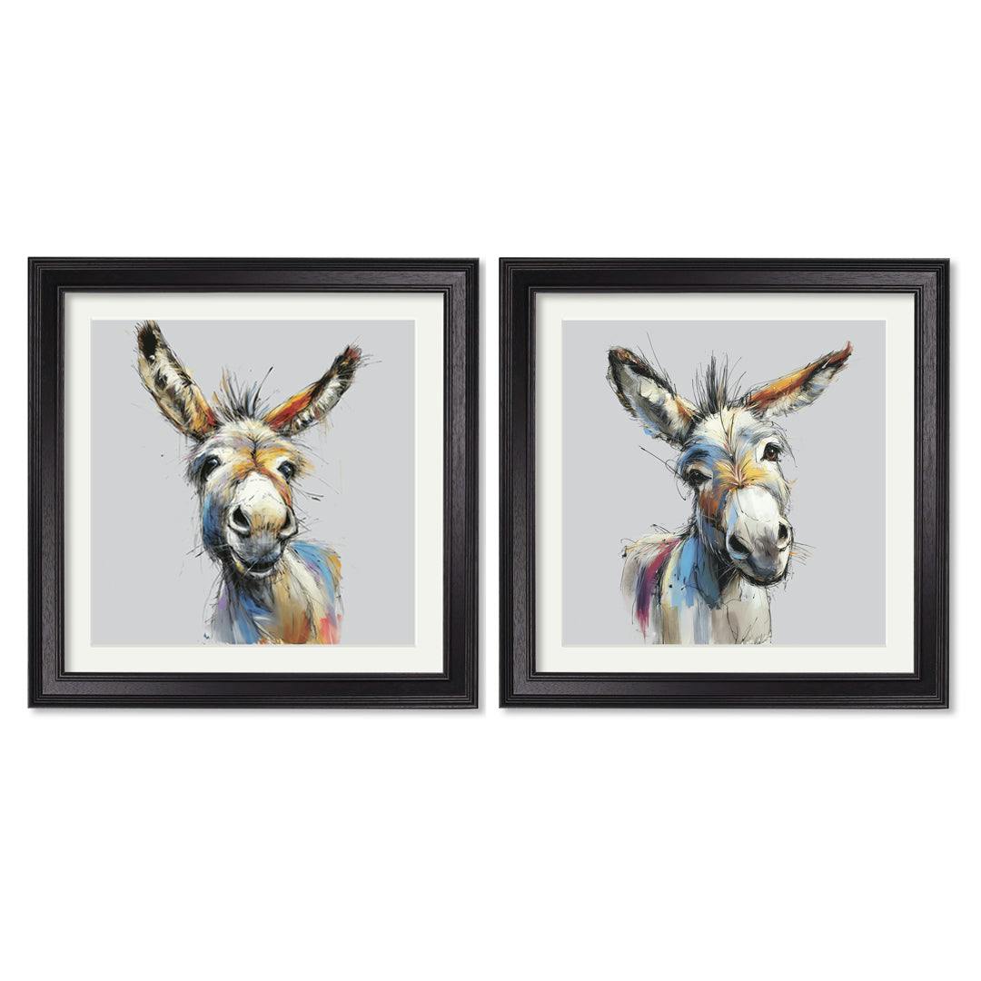 Rackhams Black Donkey Jack & Jennet Cosy Sketch - Hurstwood Square Frame - Collection Of 2 - 96 X 96Cm - Hurstwood Square