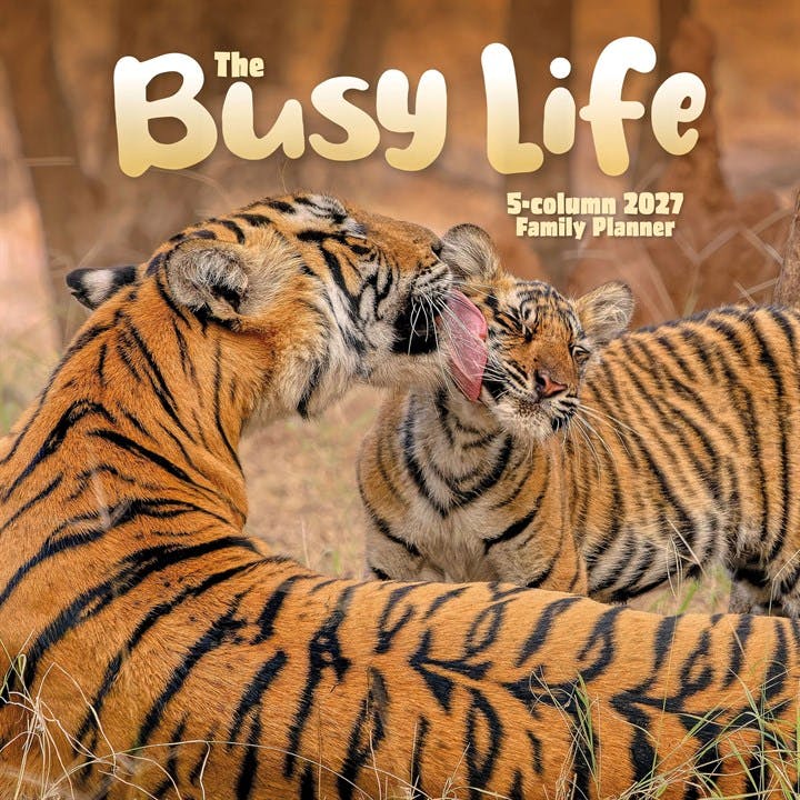 Busy Life (PFP) Planner Wall - Image 7