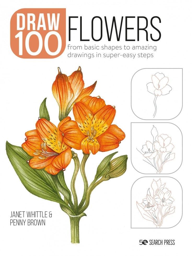 Draw 100: Flowers by Janet Whittle (Paperback Book) - Image 7