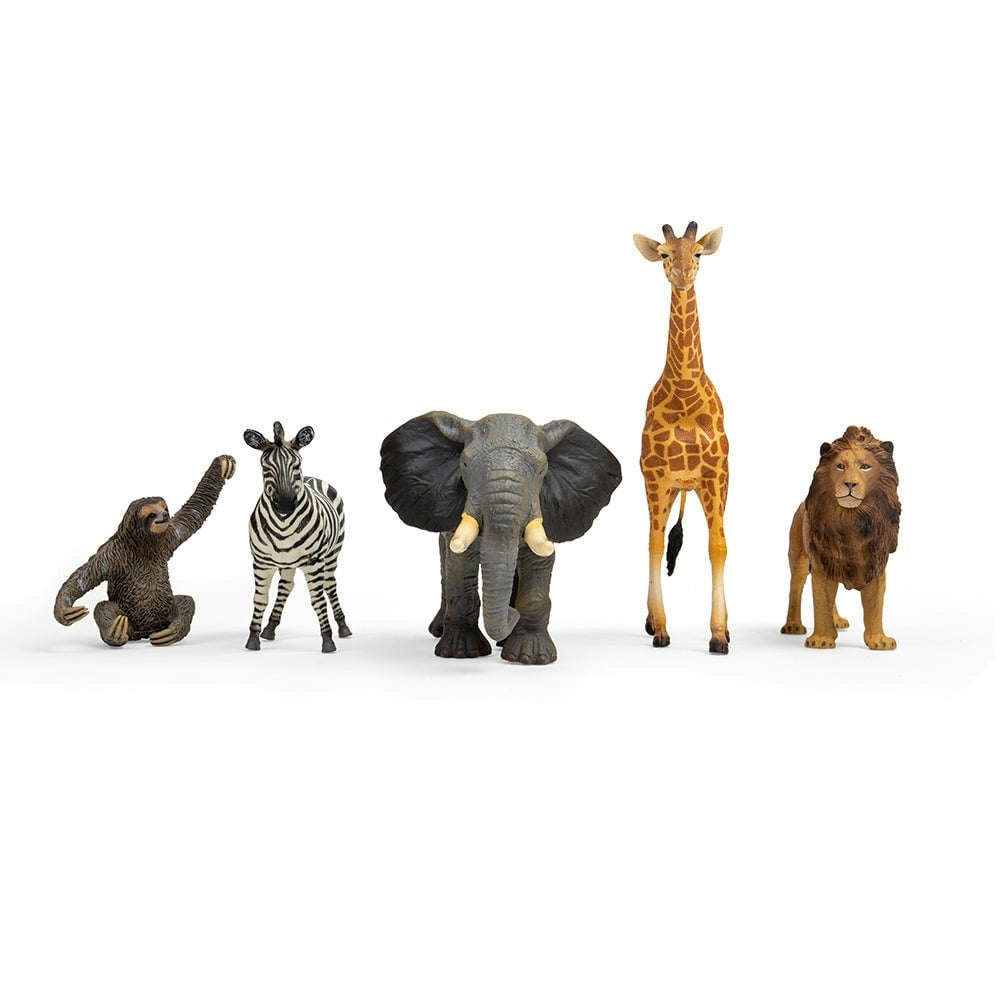 Collecta Wild Life Starter Pack