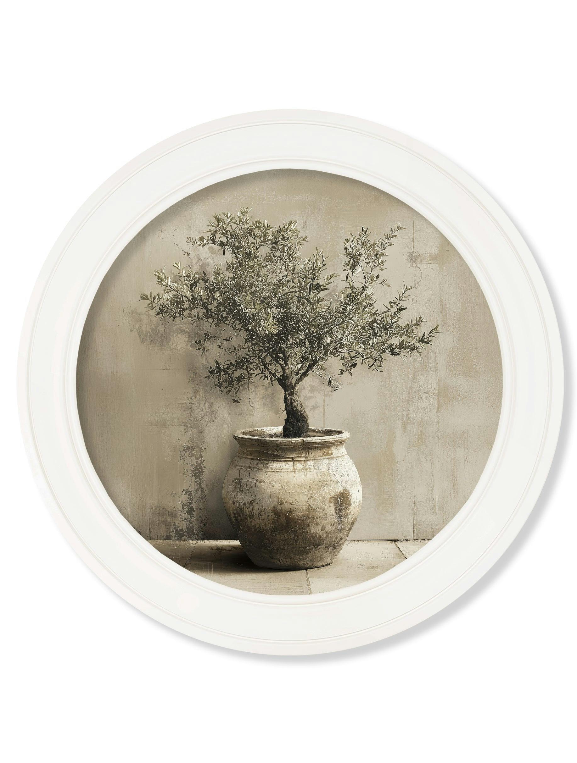 Rackhams White The Olive Tree - Oxford Strong Round Frame - The Olive Tree - 70 X 70Cm