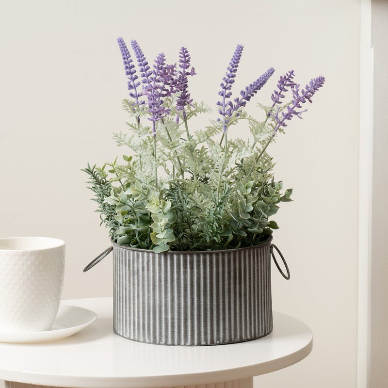 Scottish Everlastings Lavender 37.5Cm In Iron Pot